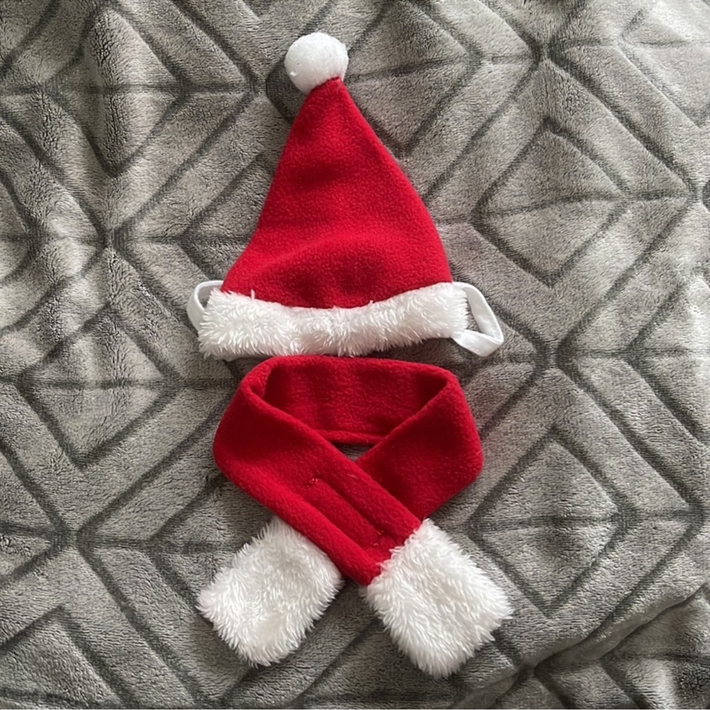 Festive Red and White Cat Holiday Costume Set - Picture 5 of 7